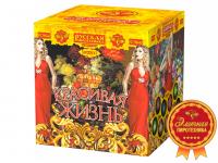 Красивая жизнь Фейерверк купить в Покрове | pokrov.salutsklad.ru