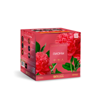 Пионы Салют купить в Покрове | pokrov.salutsklad.ru