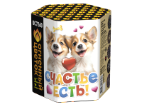 Счастье есть! Салют купить в Покрове | pokrov.salutsklad.ru