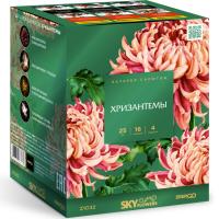 Хризантемы Фейерверк купить в Покрове | pokrov.salutsklad.ru