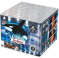 Косатка Фейерверк купить в Покрове | pokrov.salutsklad.ru