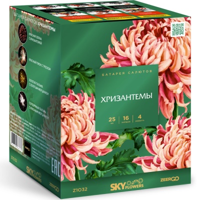 Хризантемы Фейерверк купить в Покрове | pokrov.salutsklad.ru