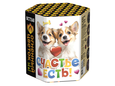 Счастье есть! Салют купить в Покрове | pokrov.salutsklad.ru